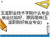 玉溪职业技术学院什么专业就业比较好，原因是啥(玉溪职院好就业专业)