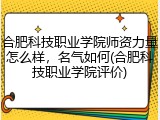 合肥科技职业学院师资力量怎么样，名气如何(合肥科技职业学院评价)