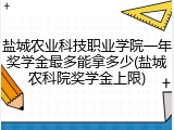 盐城农业科技职业学院一年奖学金最多能拿多少(盐城农科院奖学金上限)