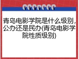 青岛电影学院是什么级别，公办还是民办(青岛电影学院性质级别)