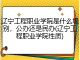 辽宁工程职业学院是什么级别，公办还是民办(辽宁工程职业学院性质)