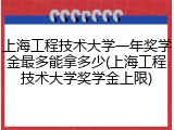 上海工程技术大学一年奖学金最多能拿多少(上海工程技术大学奖学金上限)