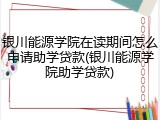 银川能源学院在读期间怎么申请助学贷款(银川能源学院助学贷款)