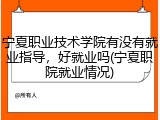 宁夏职业技术学院有没有就业指导，好就业吗(宁夏职院就业情况)