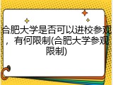 合肥大学是否可以进校参观，有何限制(合肥大学参观限制)