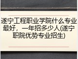 遂宁工程职业学院什么专业最好，一年招多少人(遂宁职院优势专业招生)