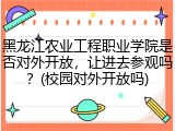黑龙江农业工程职业学院是否对外开放，让进去参观吗？(校园对外开放吗)
