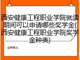 西安健康工程职业学院就读期间可以申请哪些奖学金(西安健康工程职业学院奖学金种类)