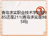 青岛求实职业技术学院是985还是211(青岛求实是985吗)