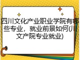 四川文化产业职业学院有哪些专业，就业前景如何(川文产院专业就业)