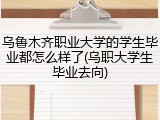 乌鲁木齐职业大学的学生毕业都怎么样了(乌职大学生毕业去向)