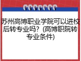 苏州高博职业学院可以进校后转专业吗？(高博职院转专业条件)