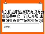 山东铝业职业学院有没有就业指导中心，详细介绍(山东铝业职业学院就业指导)