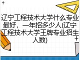 辽宁工程技术大学什么专业最好，一年招多少人(辽宁工程技术大学王牌专业招生人数)