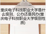 重庆电子科技职业大学是什么级别，公办还是民办(重庆电子科技职业大学级别性质)