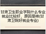 甘肃卫生职业学院什么专业就业比较好，原因是啥(甘肃卫院好就业专业)