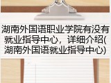 湖南外国语职业学院有没有就业指导中心，详细介绍(湖南外国语就业指导中心)