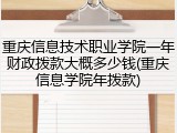 重庆信息技术职业学院一年财政拨款大概多少钱(重庆信息学院年拨款)