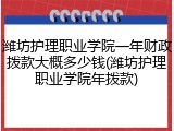 潍坊护理职业学院一年财政拨款大概多少钱(潍坊护理职业学院年拨款)