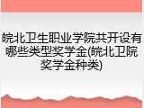 皖北卫生职业学院共开设有哪些类型奖学金(皖北卫院奖学金种类)