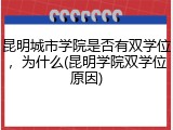 昆明城市学院是否有双学位，为什么(昆明学院双学位原因)