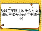 盐城工学院主攻什么方向有哪些王牌专业(盐工王牌专业)