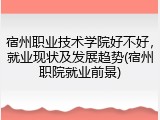 宿州职业技术学院好不好，就业现状及发展趋势(宿州职院就业前景)
