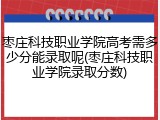 枣庄科技职业学院高考需多少分能录取呢(枣庄科技职业学院录取分数)