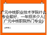 广元中核职业技术学院什么专业最好，一年招多少人(广元中核职院热门专业)
