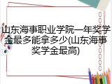 山东海事职业学院一年奖学金最多能拿多少(山东海事奖学金最高)