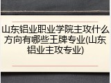 山东铝业职业学院主攻什么方向有哪些王牌专业(山东铝业主攻专业)
