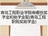 青岛工程职业学院有哪些奖学金和助学金呢(青岛工程职院奖助学金)