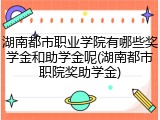 湖南都市职业学院有哪些奖学金和助学金呢(湖南都市职院奖助学金)