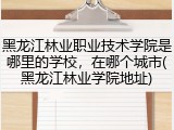 黑龙江林业职业技术学院是哪里的学校，在哪个城市(黑龙江林业学院地址)