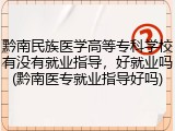 黔南民族医学高等专科学校有没有就业指导，好就业吗(黔南医专就业指导好吗)