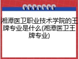 湘潭医卫职业技术学院的王牌专业是什么(湘潭医卫王牌专业)