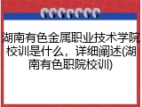 湖南有色金属职业技术学院校训是什么，详细阐述(湖南有色职院校训)