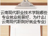 云南现代职业技术学院哪些专业就业前景好，为什么(云南现代职院好就业专业)