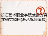 浙江艺术职业学院就读的真实感觉如何(浙艺就读体验)