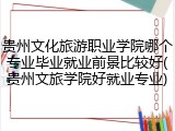 贵州文化旅游职业学院哪个专业毕业就业前景比较好(贵州文旅学院好就业专业)