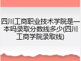 四川工商职业技术学院是一本吗录取分数线多少(四川工商学院录取线)