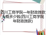 四川工商学院一年财政拨款大概多少钱(四川工商学院年财政拨款)