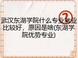 武汉东湖学院什么专业就业比较好，原因是啥(东湖学院优势专业)