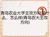 青岛农业大学主攻方向是什么，怎么样(青岛农大主攻方向)