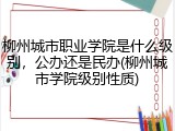 柳州城市职业学院是什么级别，公办还是民办(柳州城市学院级别性质)