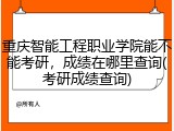 重庆智能工程职业学院能不能考研，成绩在哪里查询(考研成绩查询)