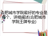合肥城市学院最好的专业是哪个，详细阐述(合肥城市学院王牌专业)