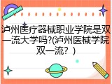 泸州医疗器械职业学院是双一流大学吗?(泸州医械学院双一流？)