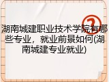 湖南城建职业技术学院有哪些专业，就业前景如何(湖南城建专业就业)