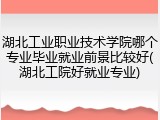 湖北工业职业技术学院哪个专业毕业就业前景比较好(湖北工院好就业专业)